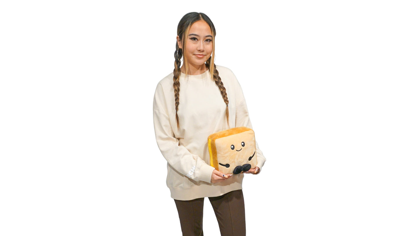 THE TOCHI TOAST PLUSHIE